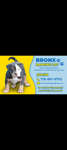 Photo from customer review