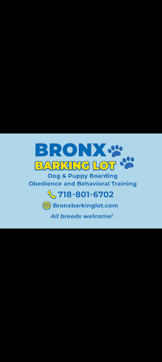 Photo from customer review